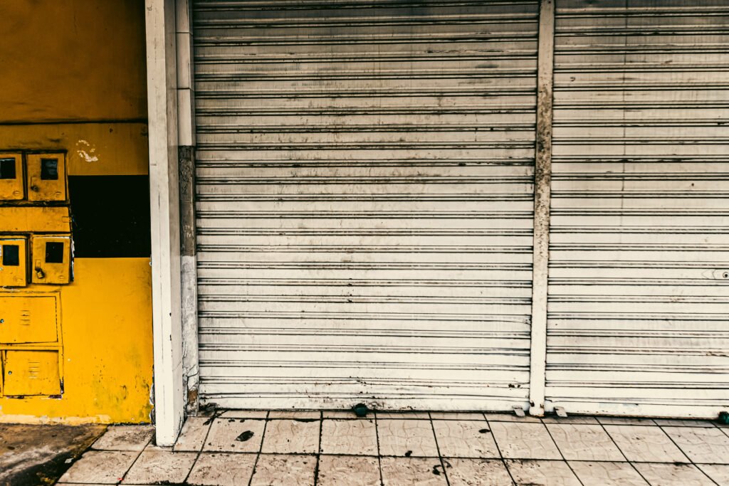 garage door service near me